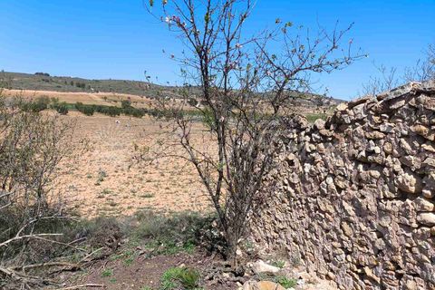 Helårsgrund i Yecla, Murcia, Yecla - € 26.500 | Ref: SF0526 - foto 6